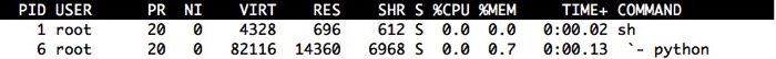 Docker container top wsgiref shell