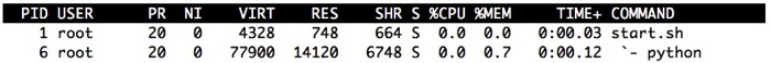 Docker container top wsgiref entrypoint