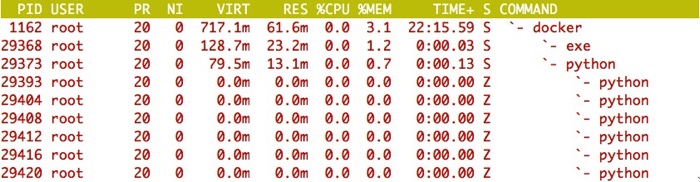 Docker host top wsgiref multi