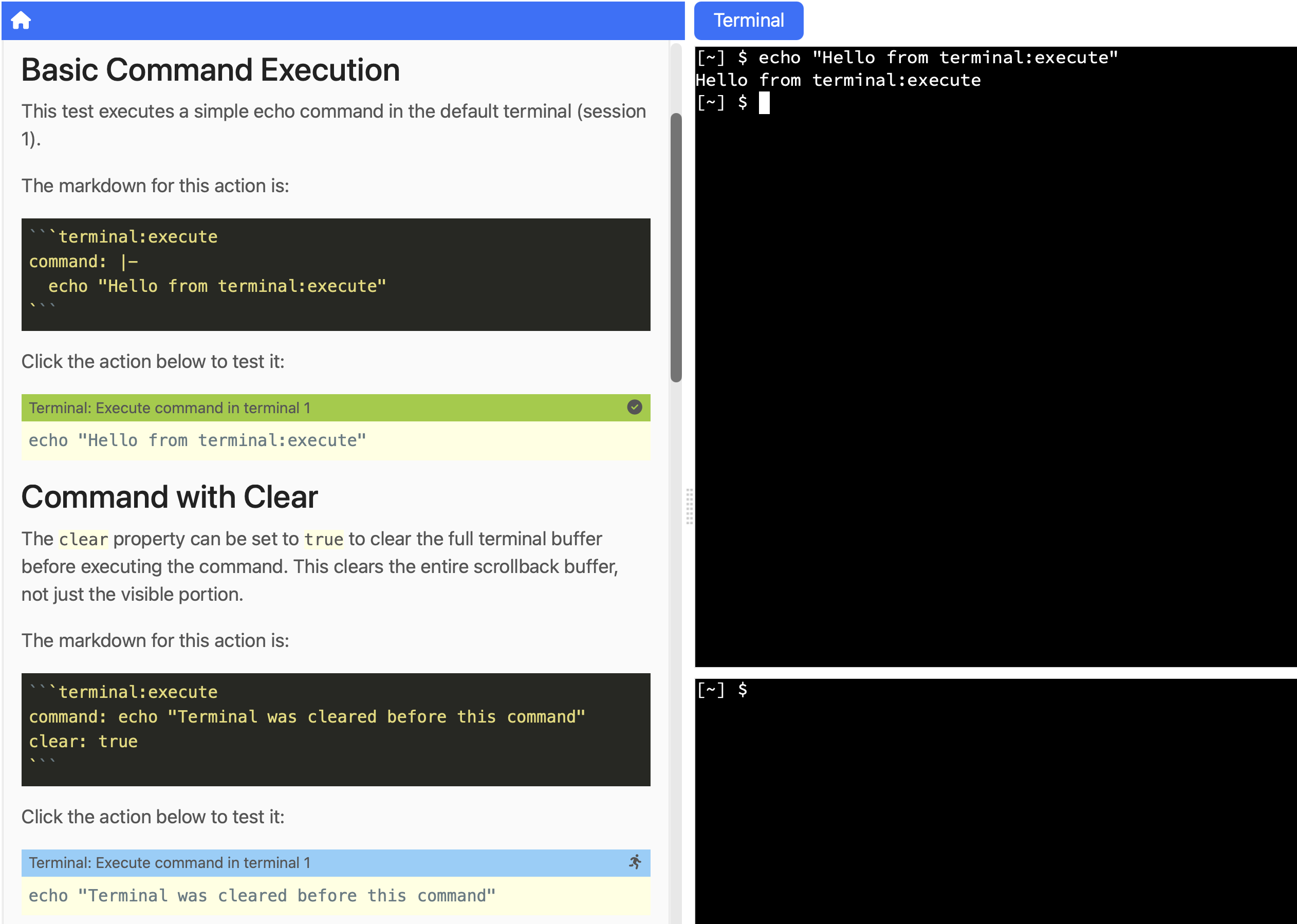 Workshop instructions with a clickable terminal command and the result displayed in the terminal panel